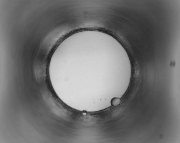 X0000116010632200911191238
