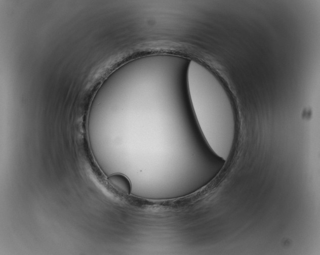X0000116010633200911191238