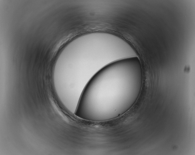 X0000116010634200911191238