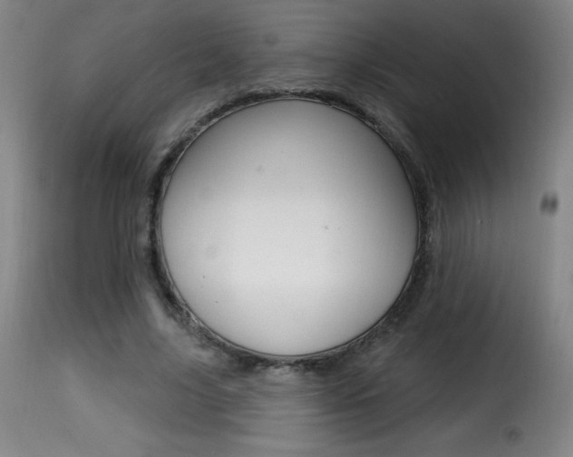 X0000116010635200911191238