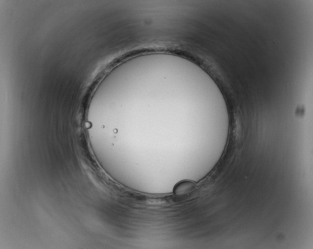 X0000116010636200911191238