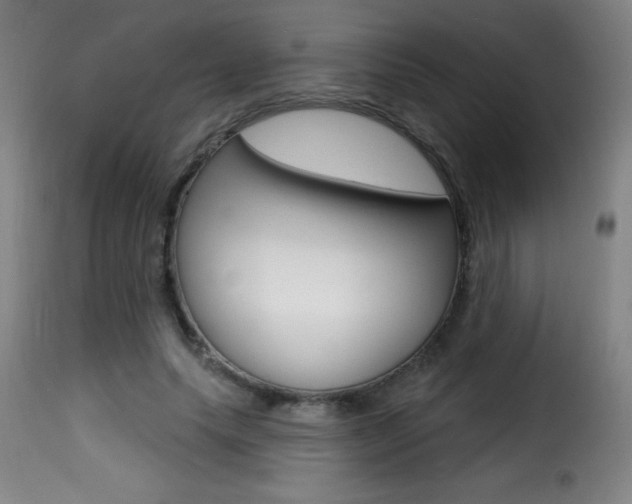 X0000116010639200911191238