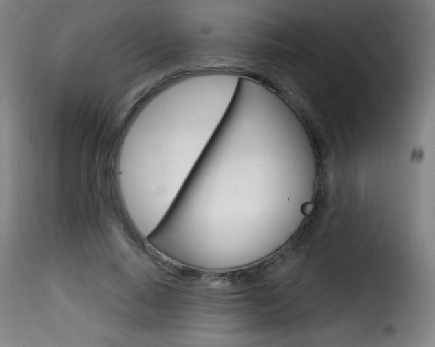 X0000116010640200911191238