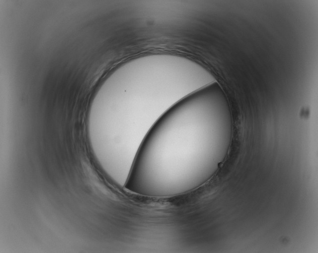 X0000116010642200911191238