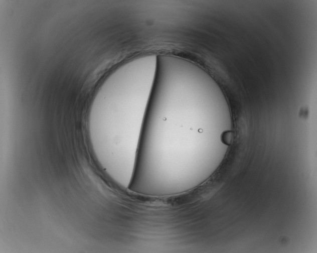 X0000116010644200911191239
