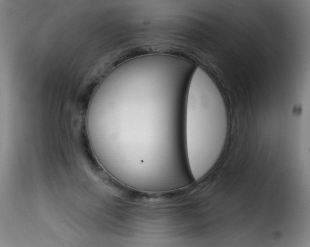 X0000116010645200911191239