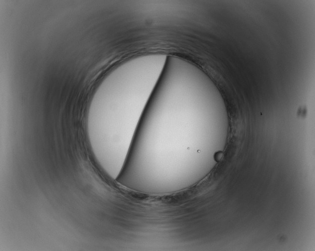 X0000116010648200911191239