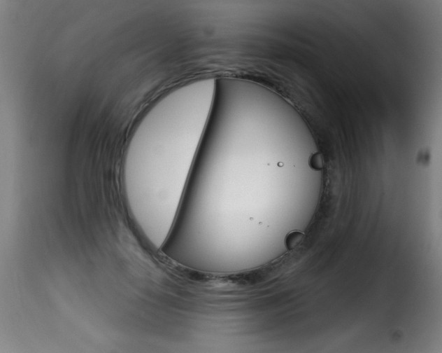 X0000116010650200911191239