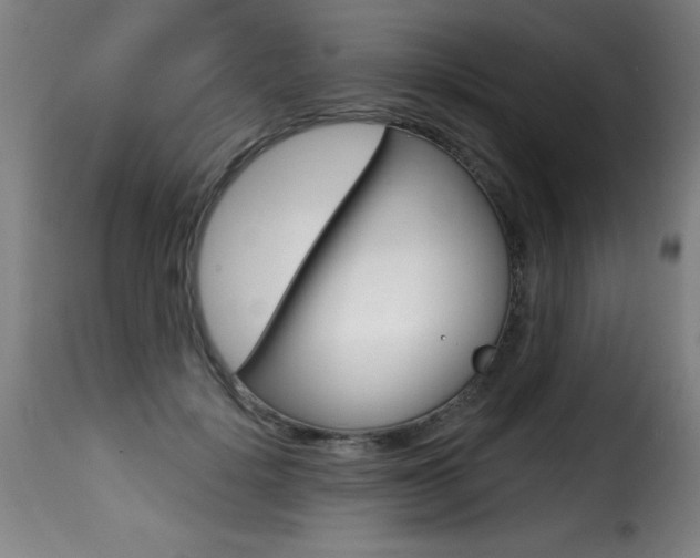 X0000116010652200911191239