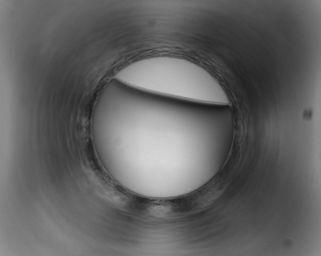 X0000116010653200911191239
