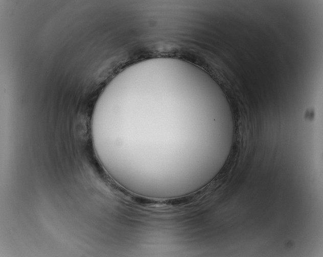 X0000116010654200911191239