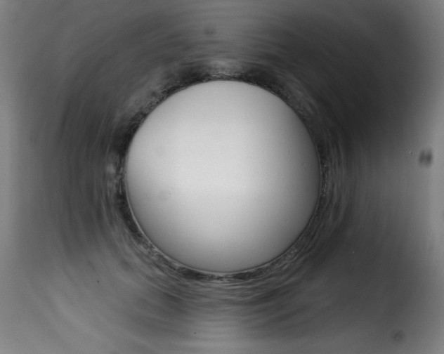 X0000116010655200911191239