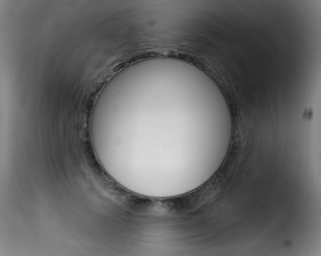 X0000116010656200911191239