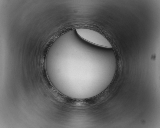 X0000116010657200911191239
