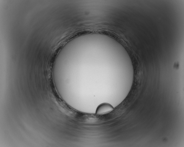 X0000116010658200911191239