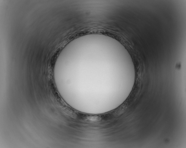 X0000116010659200911191239