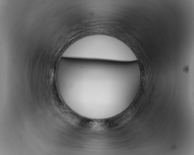 X0000116010660200911191239