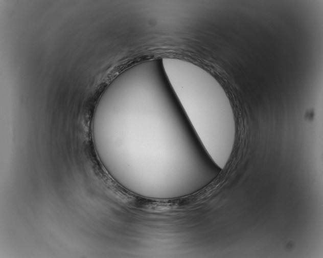 X0000116010661200911191239