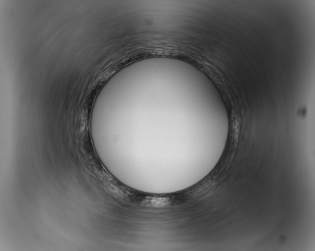 X0000116010665200911191239