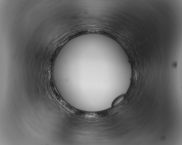 X0000116010666200911191239