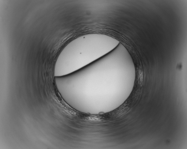 X0000116010668200911191239