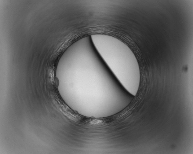 X0000116010669200911191239