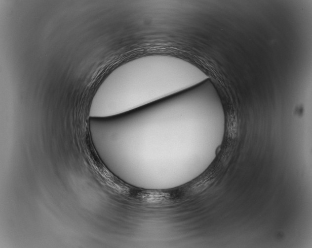 X0000116010670200911191239
