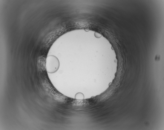 X0000116010672200911191239