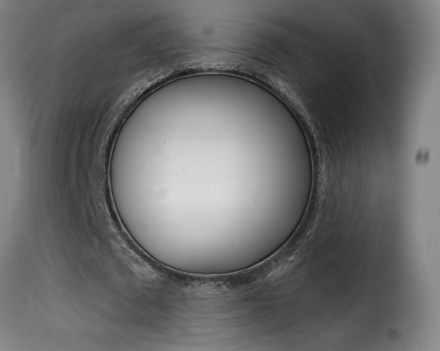 X0000116010673200911191238