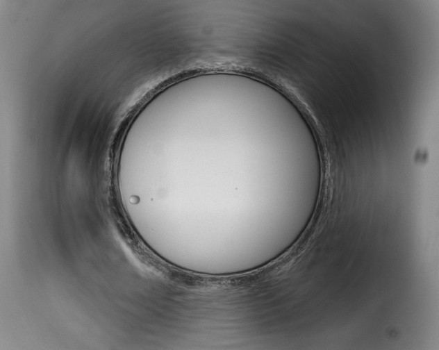 X0000116010674200911191238