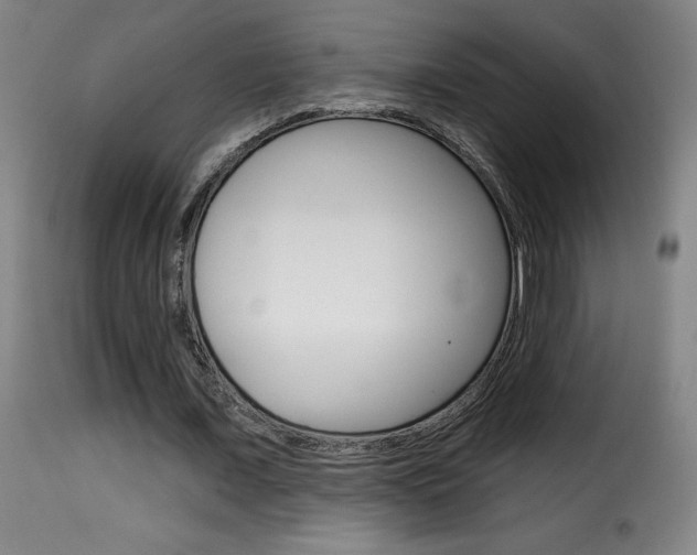 X0000116010675200911191238