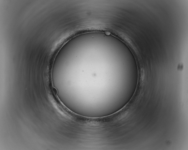 X0000116010677200911191238