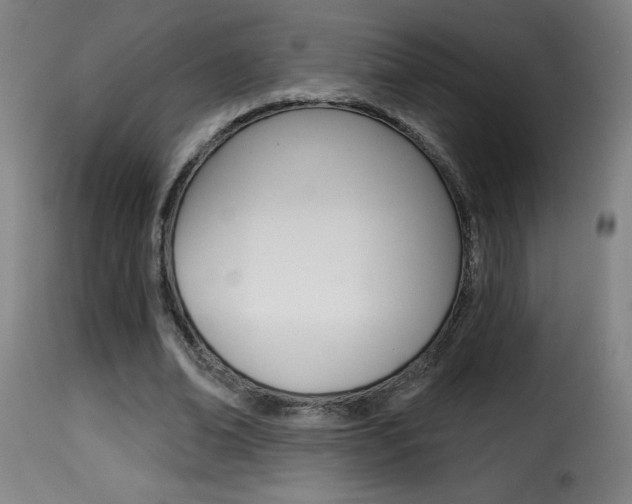 X0000116010678200911191238