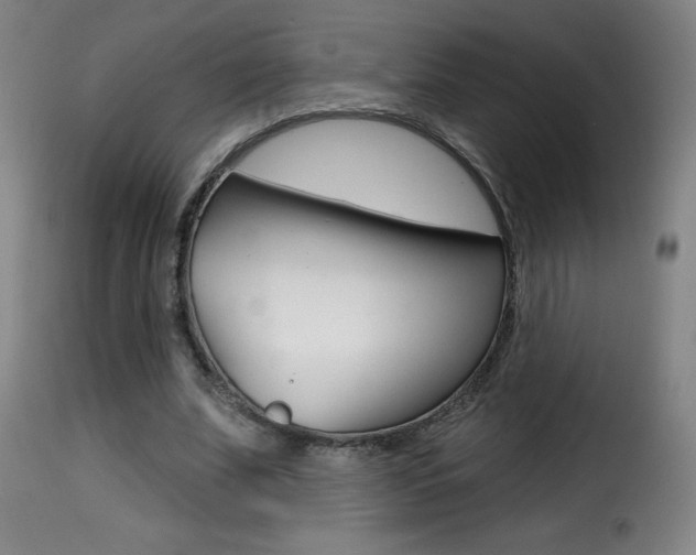 X0000116010679200911191238