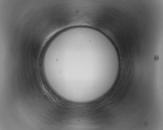 X0000116010680200911191238