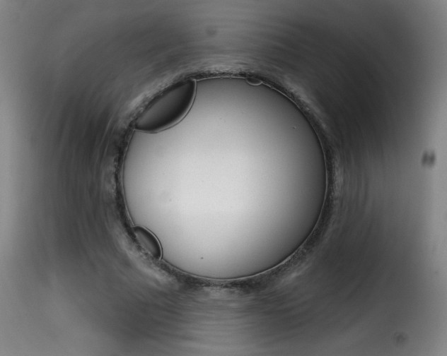 X0000116010681200911191238