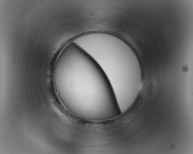 X0000116010683200911191238