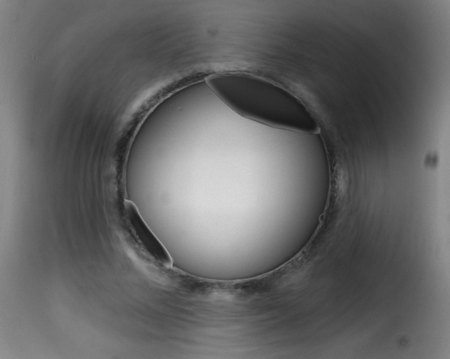 X0000116010684200911191238