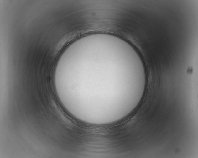 X0000116010685200911191238