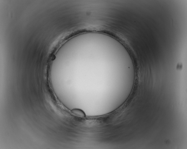 X0000116010686200911191238