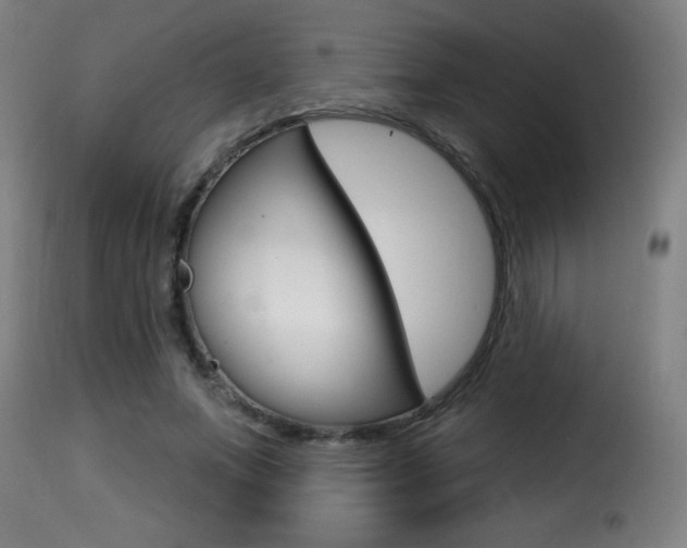 X0000116010687200911191238