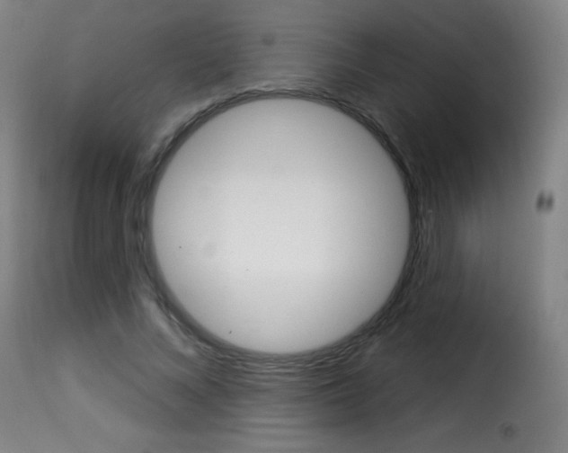 X0000116010688200911191238