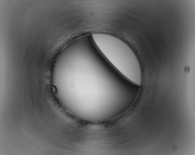 X0000116010689200911191238