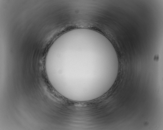 X0000116010690200911191238