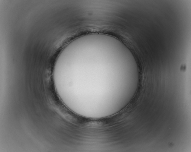 X0000116010691200911191238