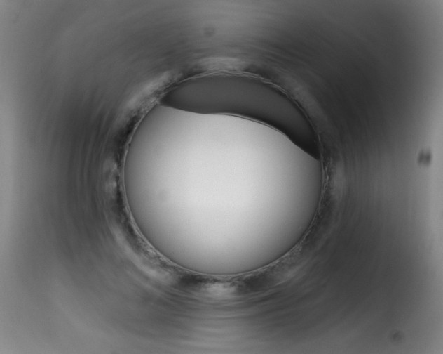X0000116010692200911191238