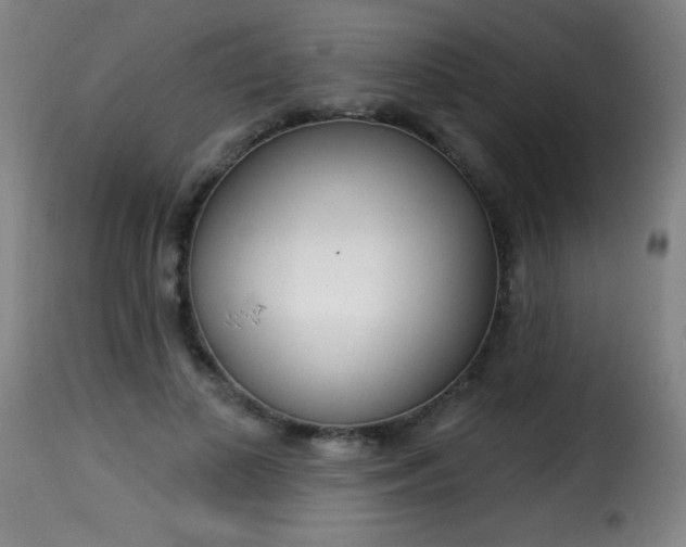 X0000116010693200911191238