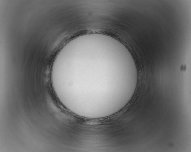 X0000116010694200911191238