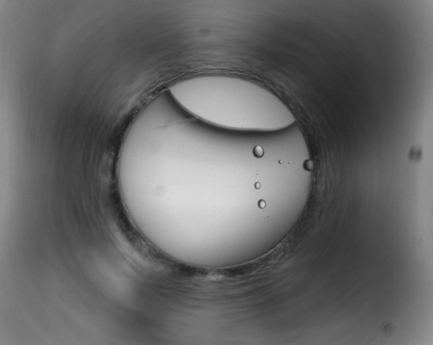 X0000116010695200911191238