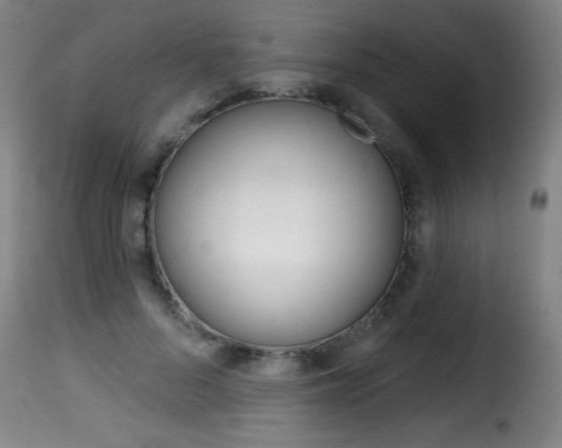 X0000116010696200911191238